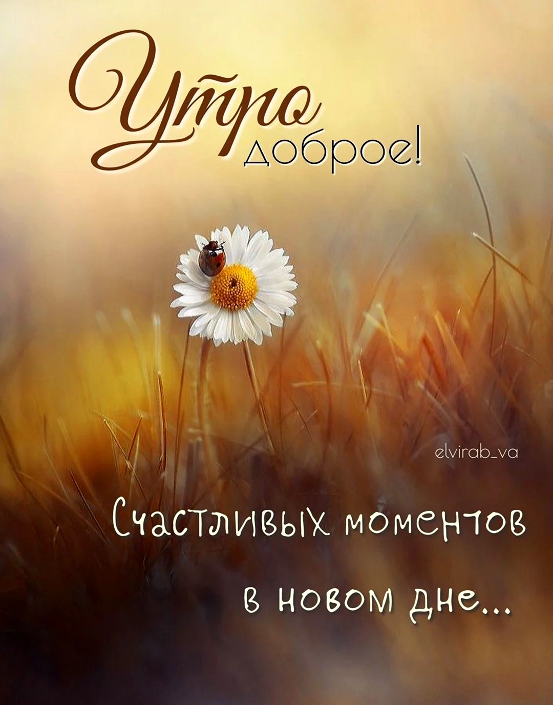 Если солнце в душе никакие
