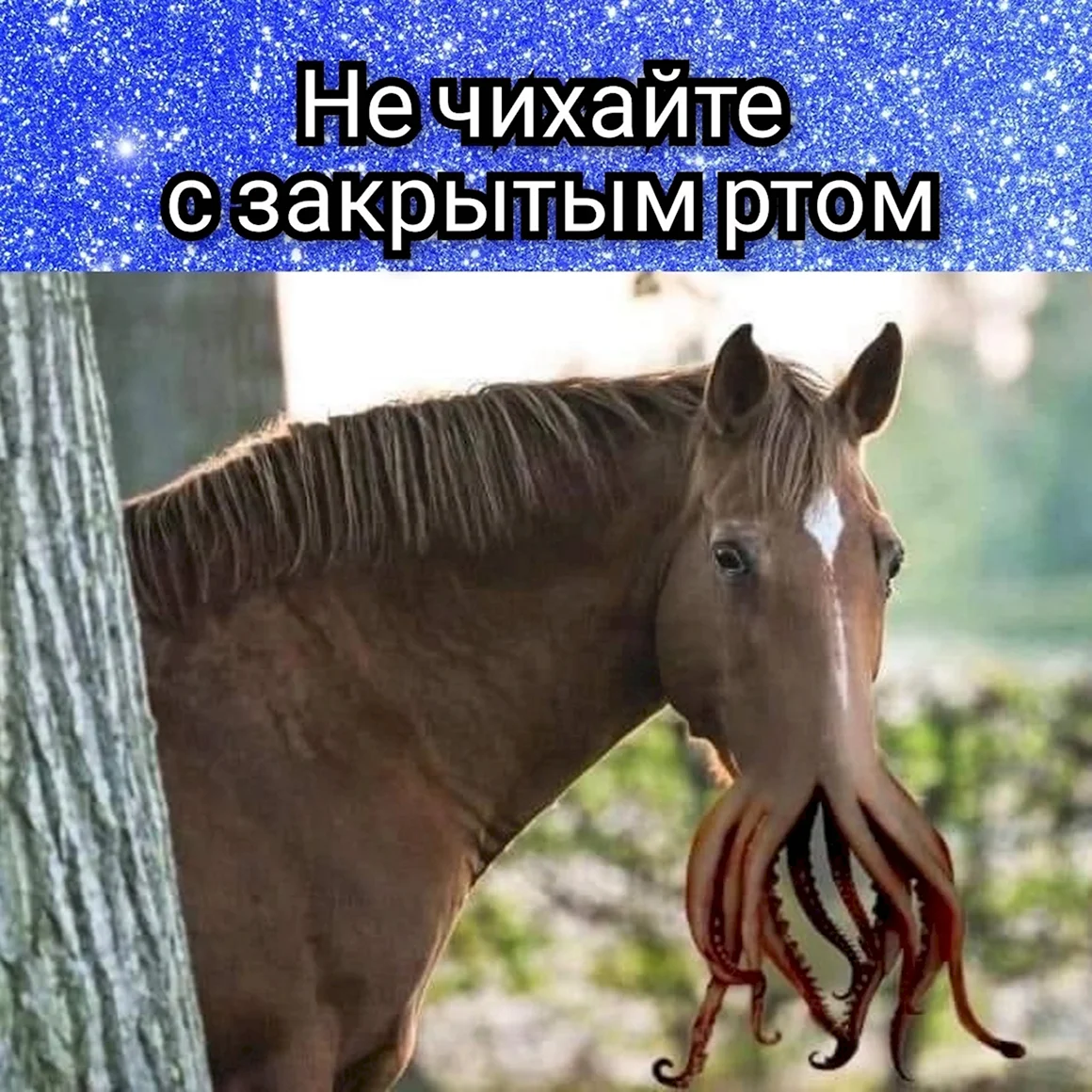 Есть на планете животные