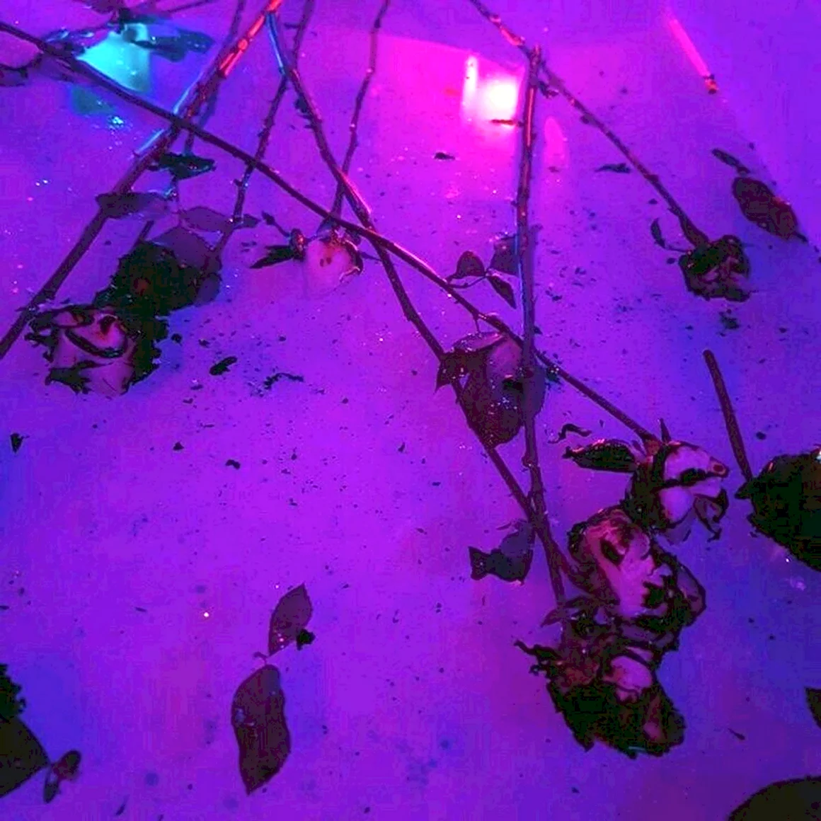 Эстетика фиолетового