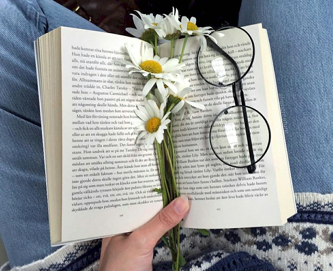 Эстетика книг и цветов