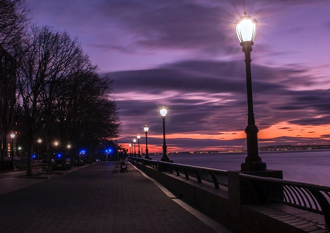 Evening
