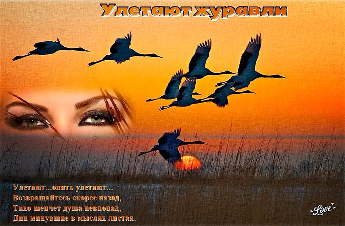 Евгений Войнов Журавли улетают