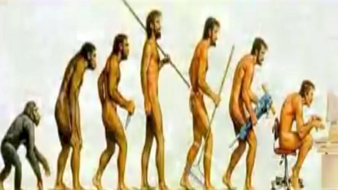 Эволюция homo sapiens