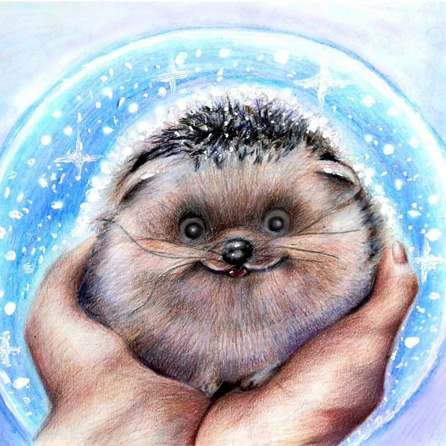 Еж цветными карандашами