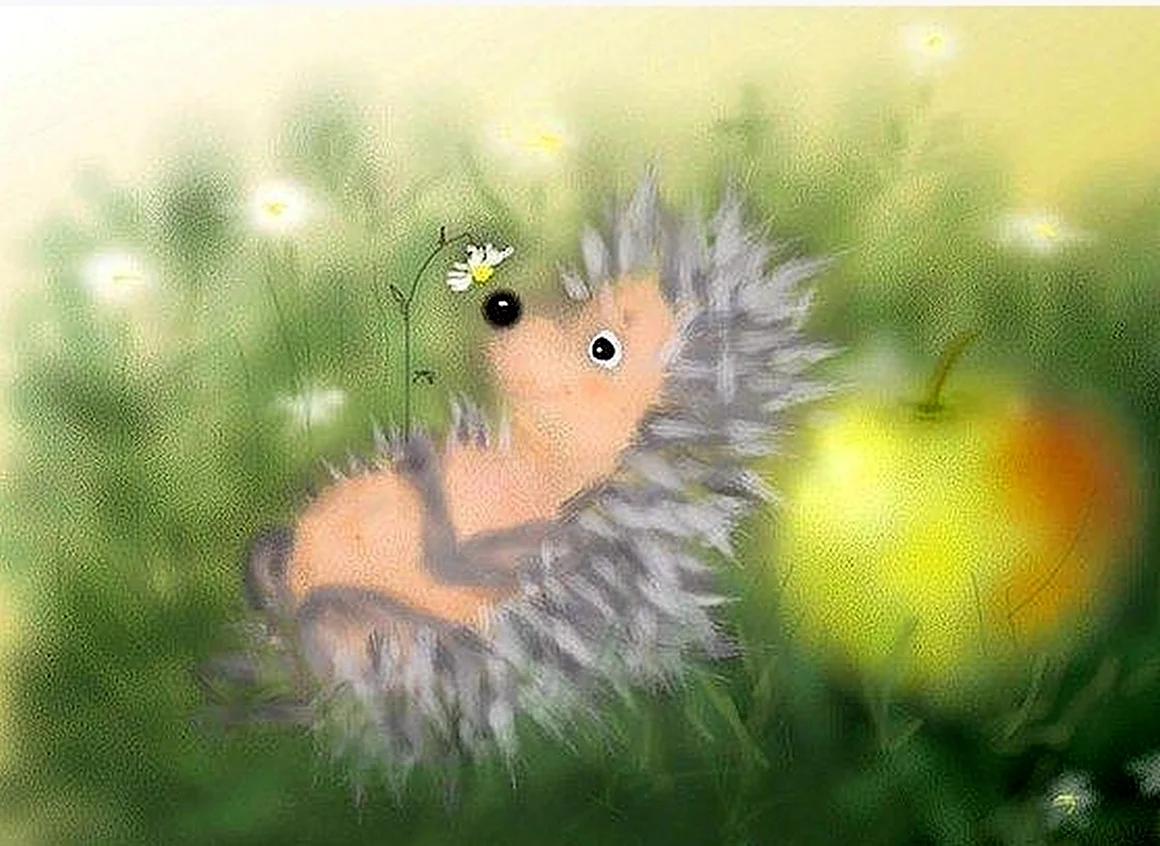Ежик мечтает