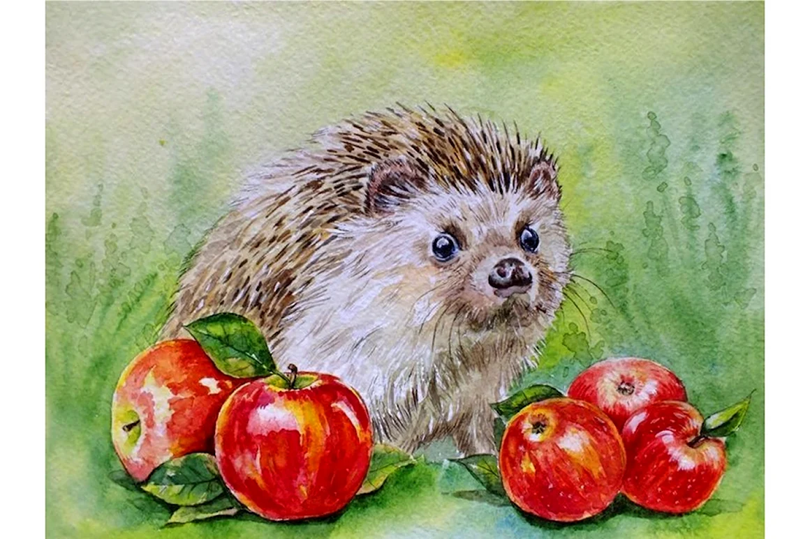 Ежик с яблоком