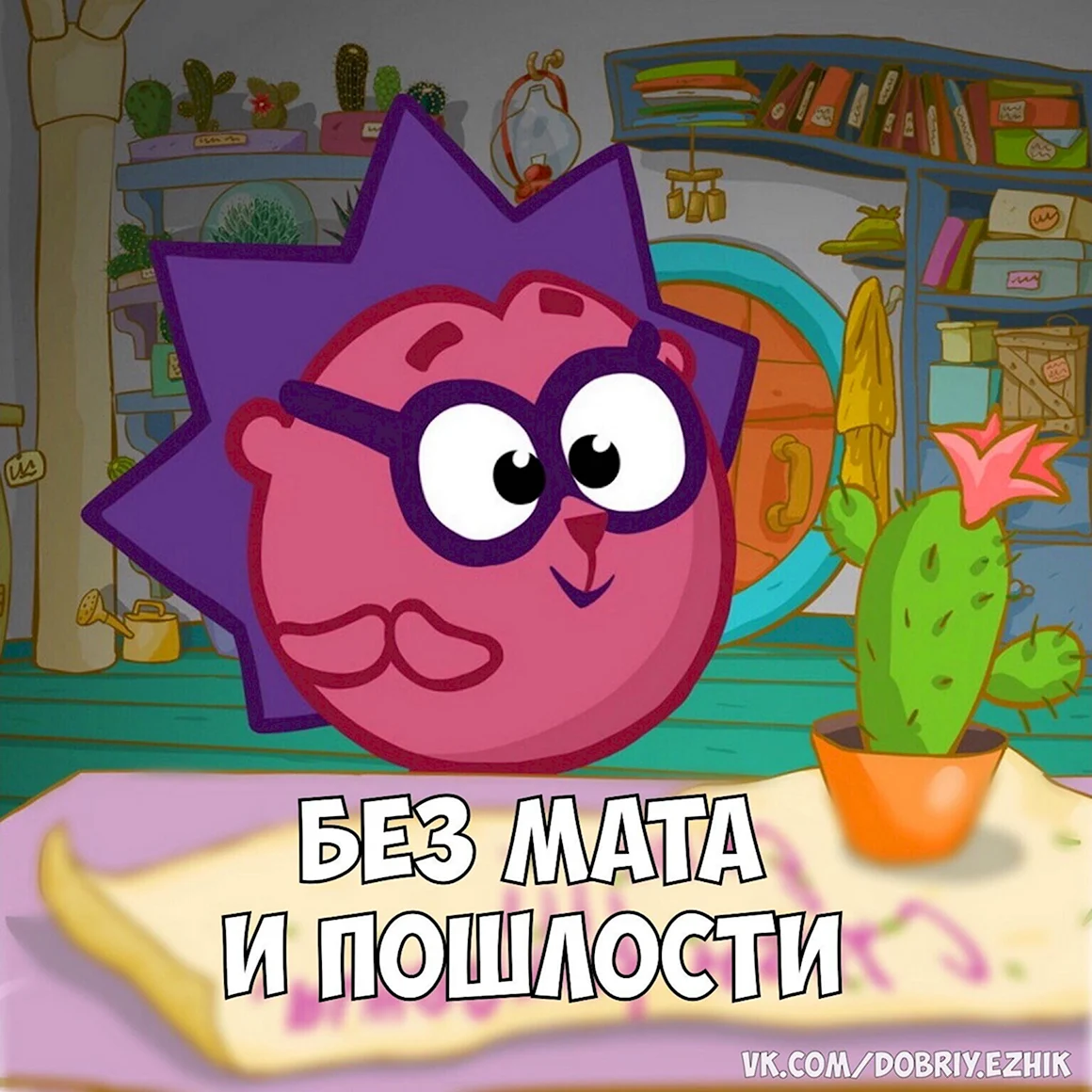 Ёжик с кактусом Смешарики