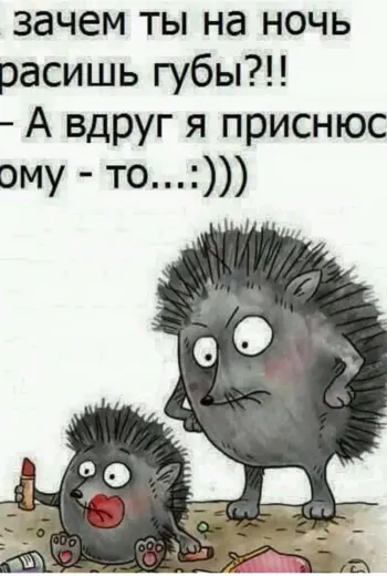 Ежик с надписями