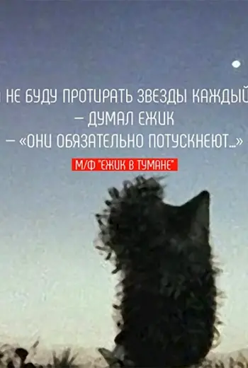 Ежик в тумане