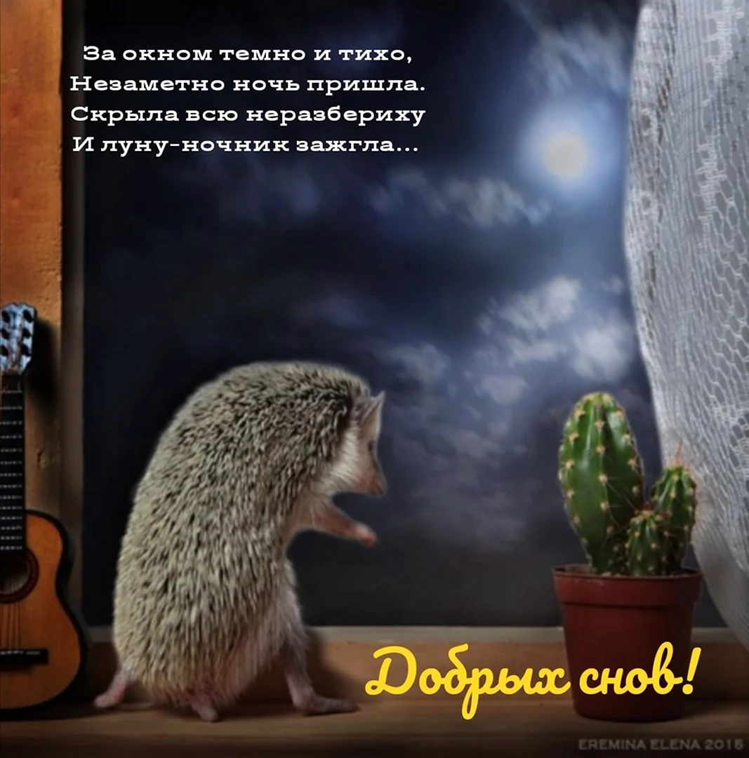 Ёжики Елены Ерёминой спокойной ночи