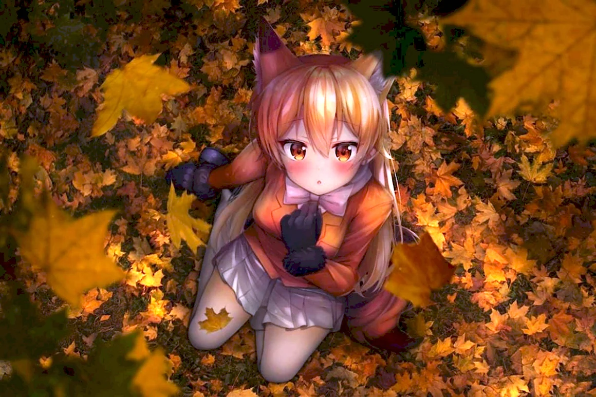 Ezo Red Fox Kemono friends аниме
