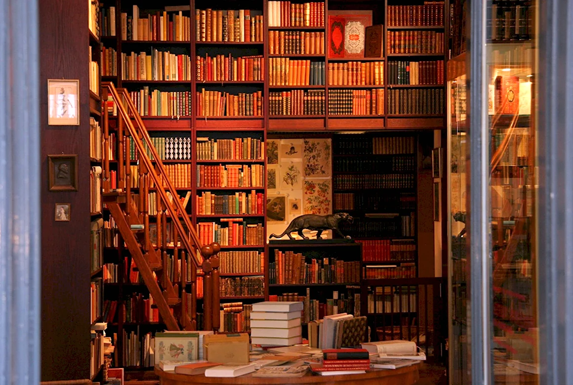 Фабиан Смит книжные стеллажи Берквист
