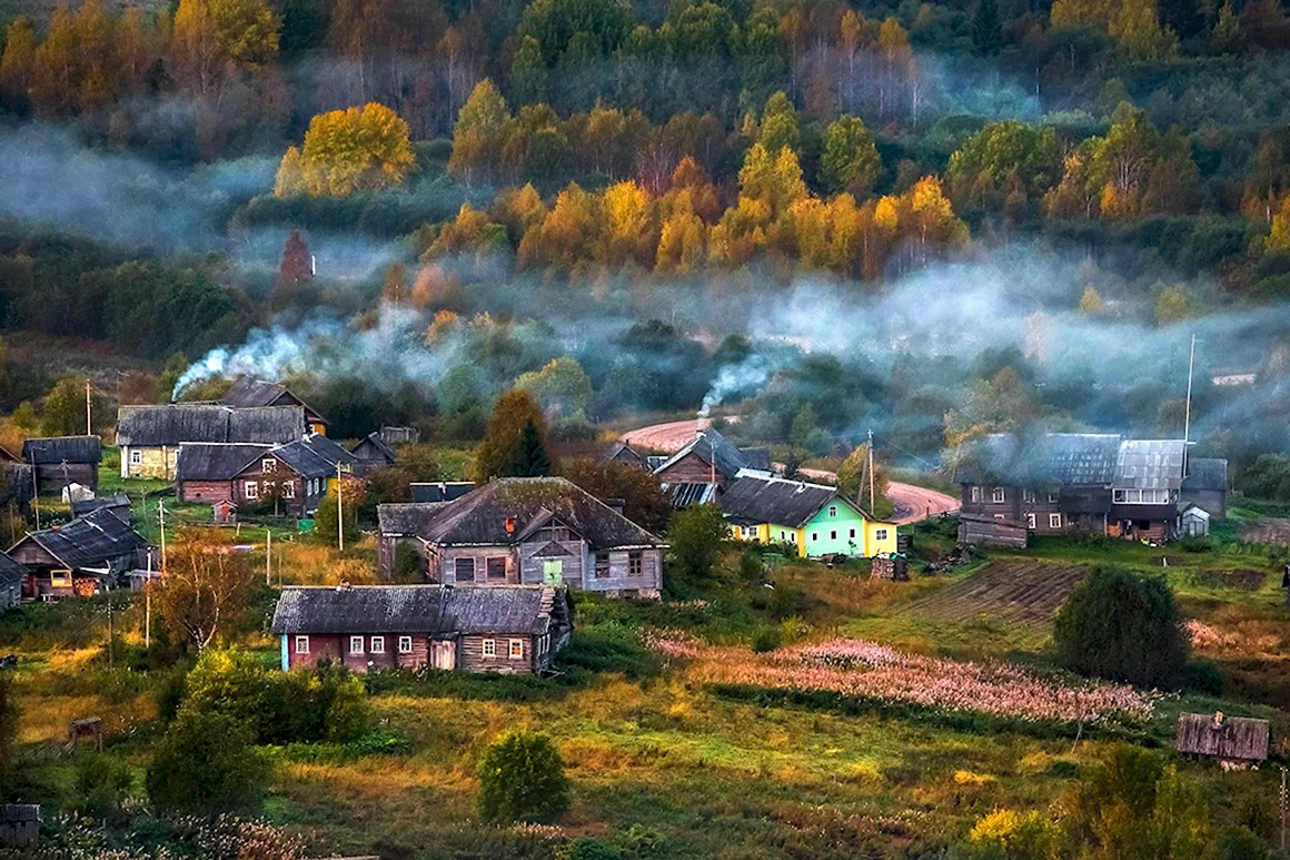 Федор Лашков Вепсский лес