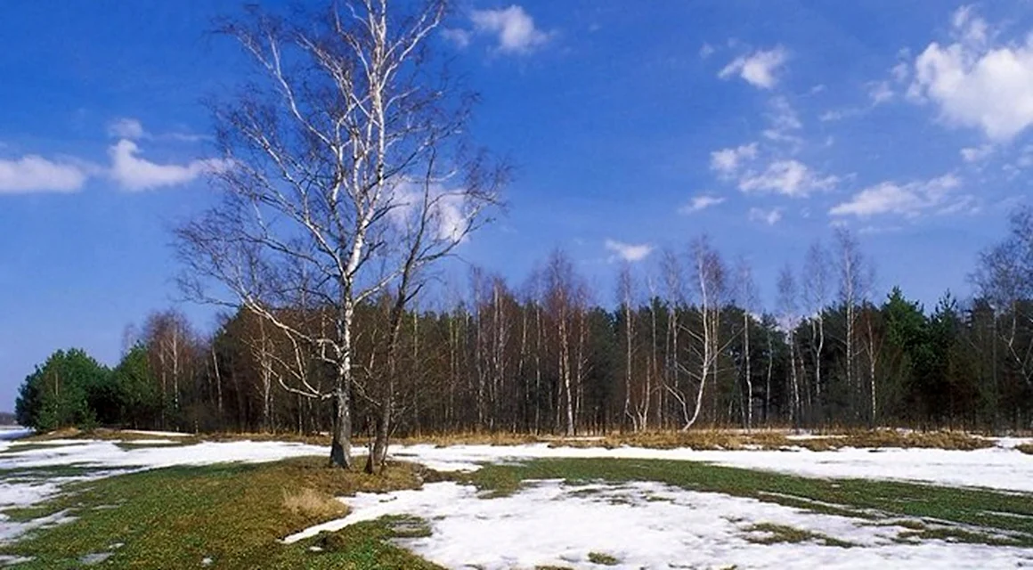 Федот Ветронос