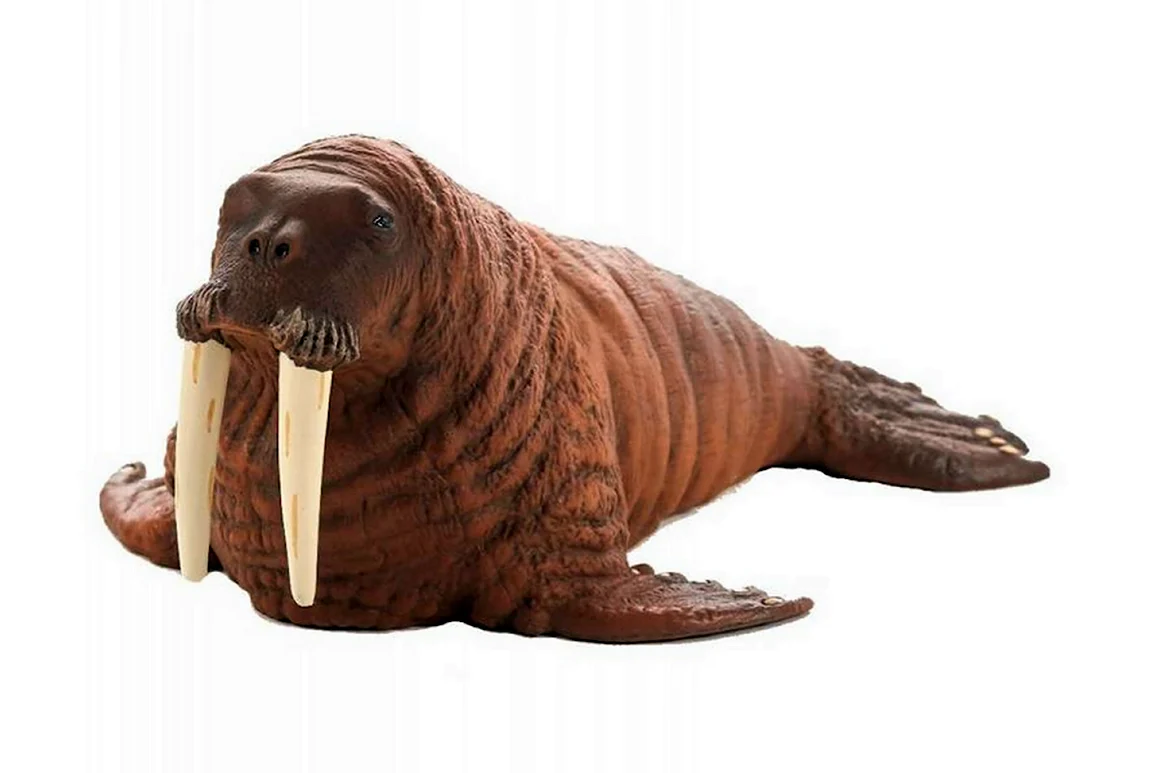Фигурка Mojo Sealife морж 387209