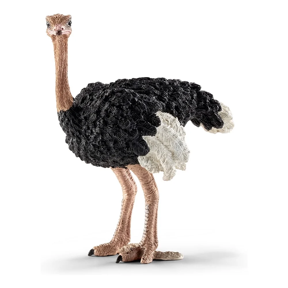 Фигурка Schleich страус 14744