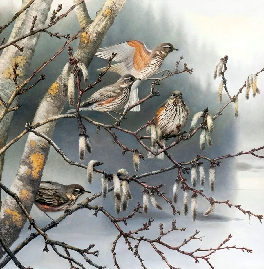 Финский художник Teppo Terä