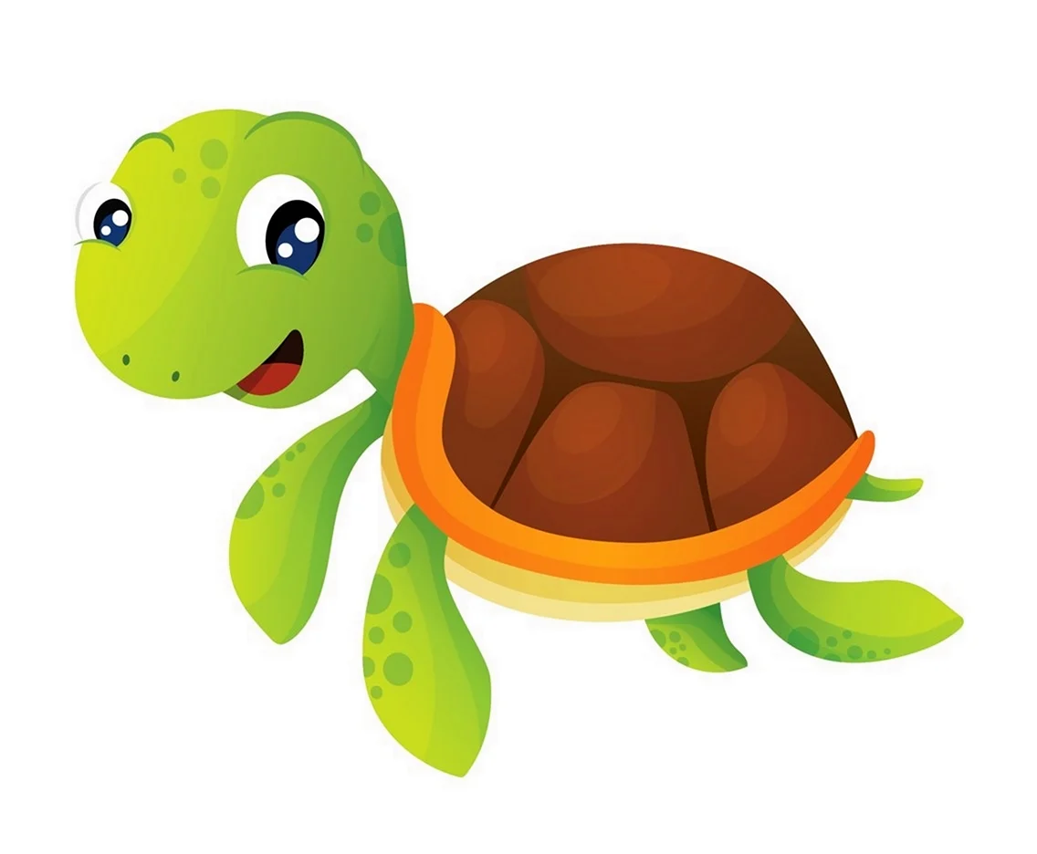Flashcards for Kids черепаха