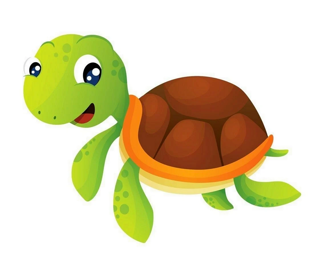 Flashcards for Kids черепаха