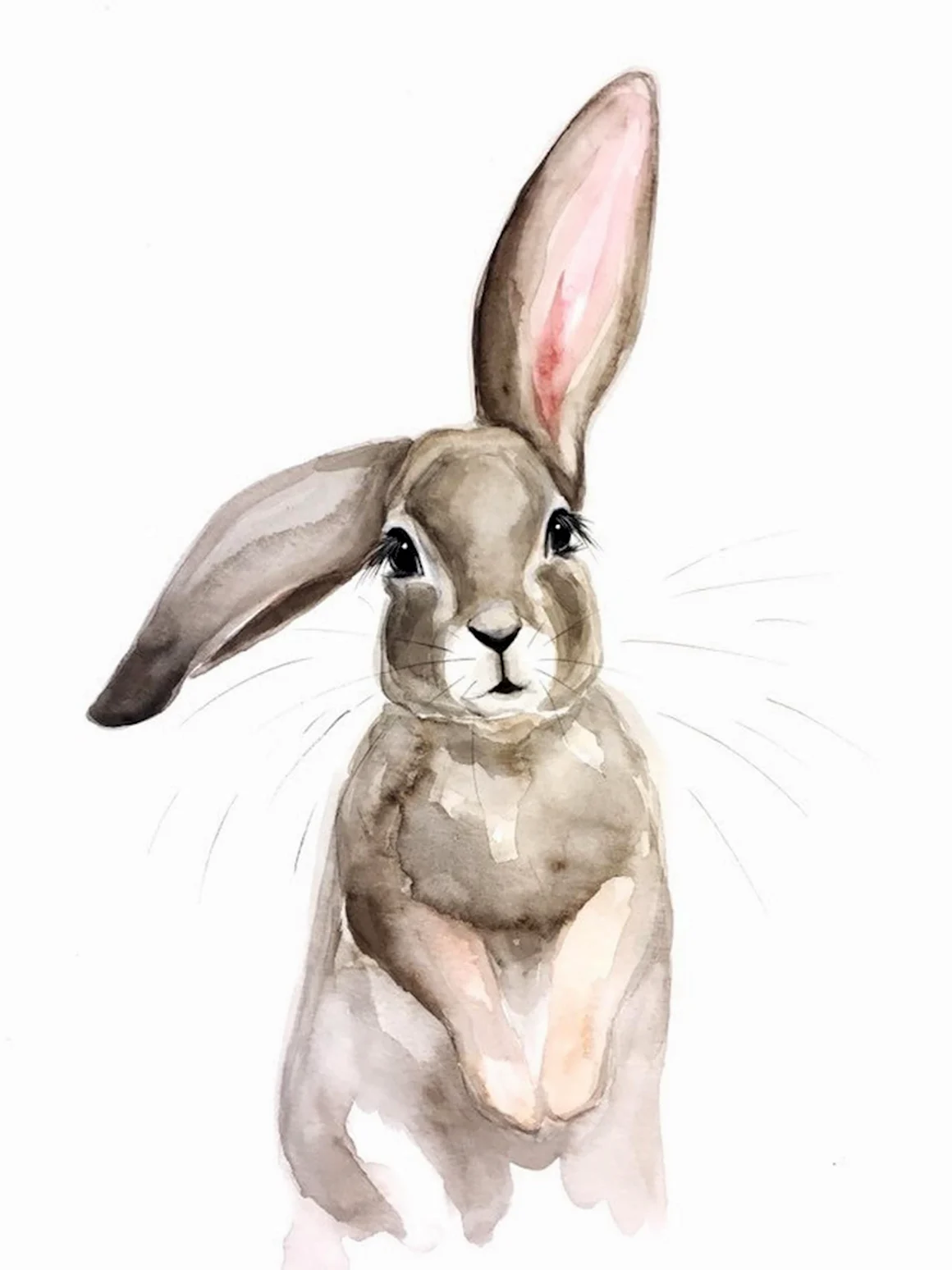 Flopsy Bunny