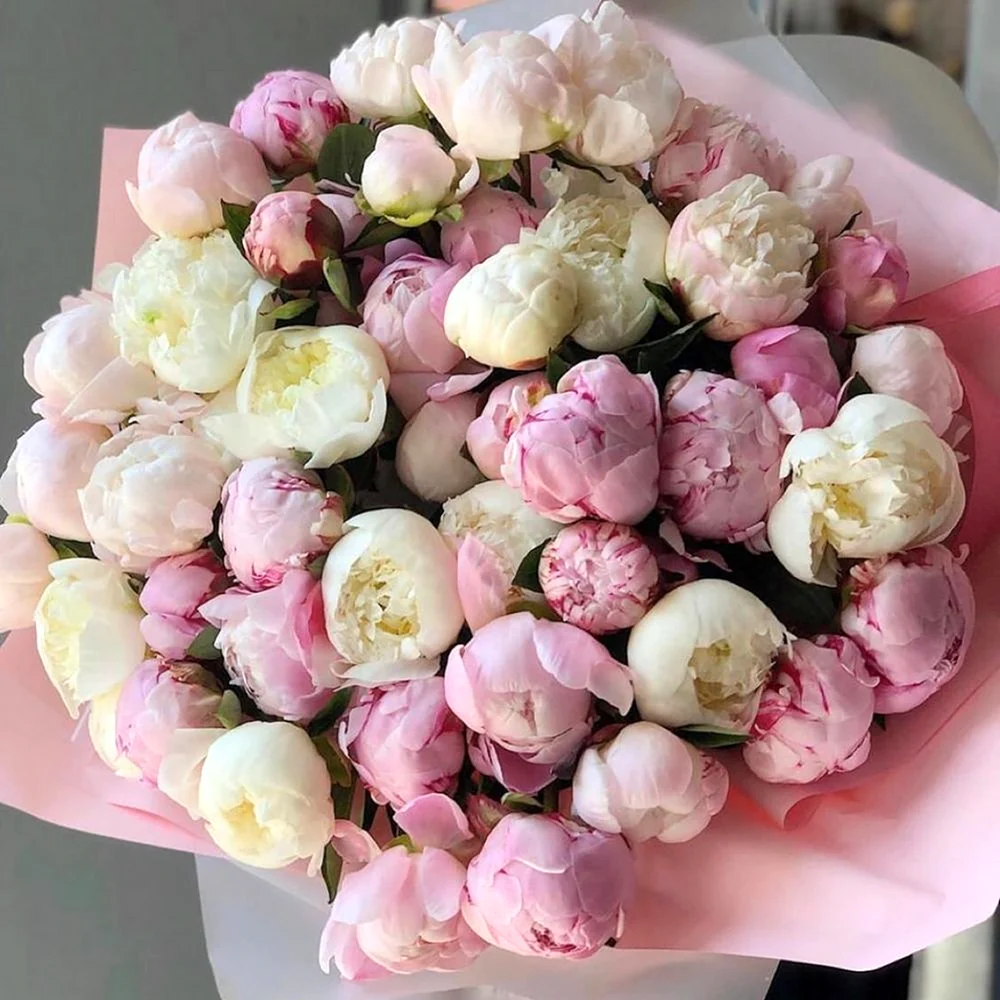 Flowwow пионы
