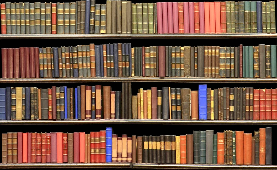 Фон книги библиотека