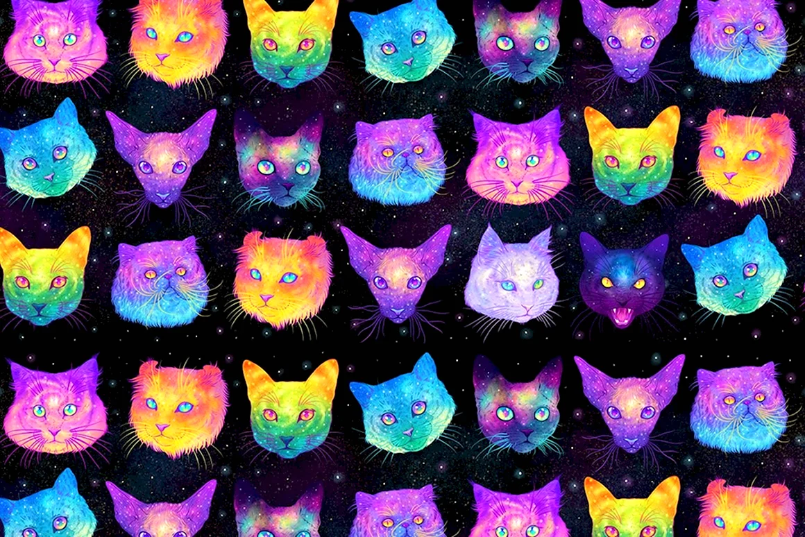 Фон с котиками