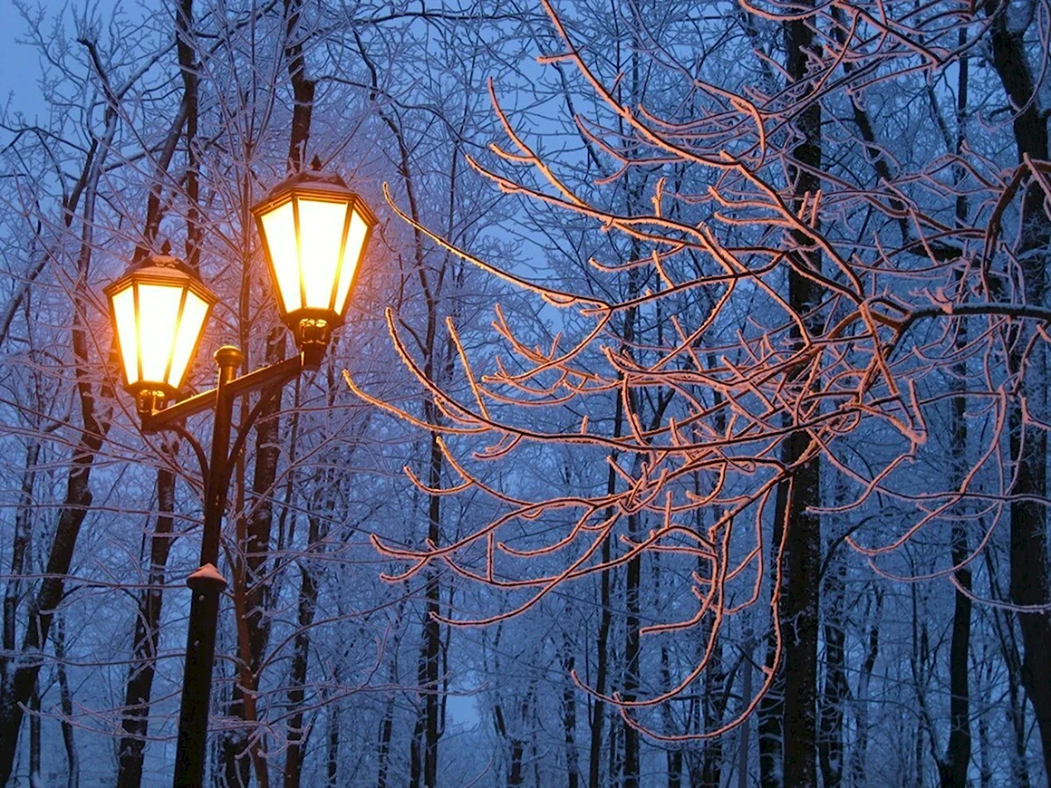 Фонарь зимой