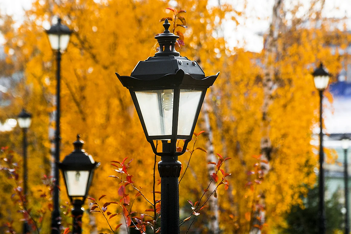 Фонари в парке