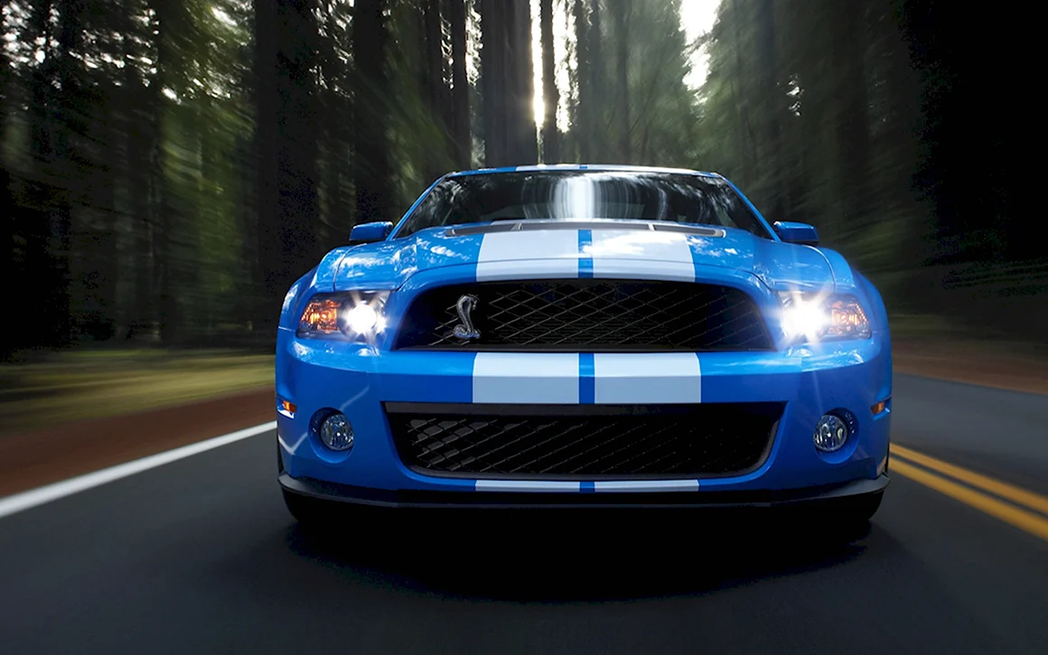Ford Mustang Shelby gt500 Police