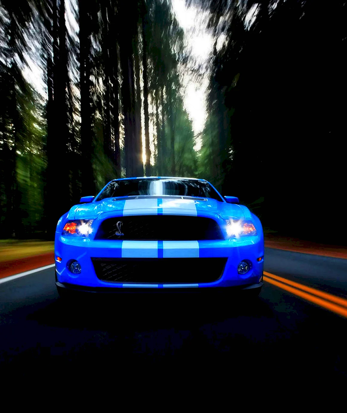 Ford Shelby gt500