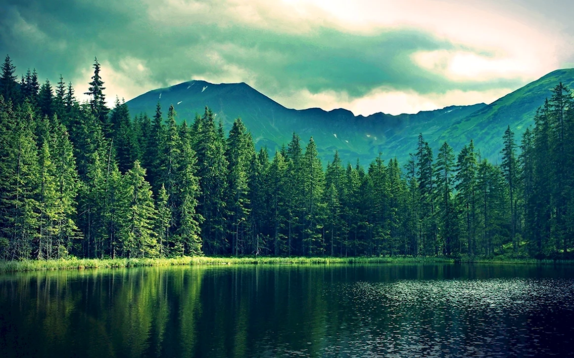 Форест Лейкс