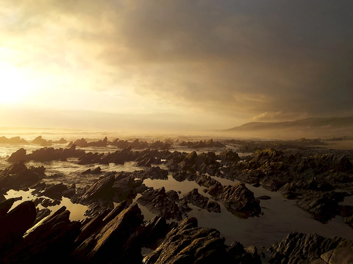 Фото National Geographic HD