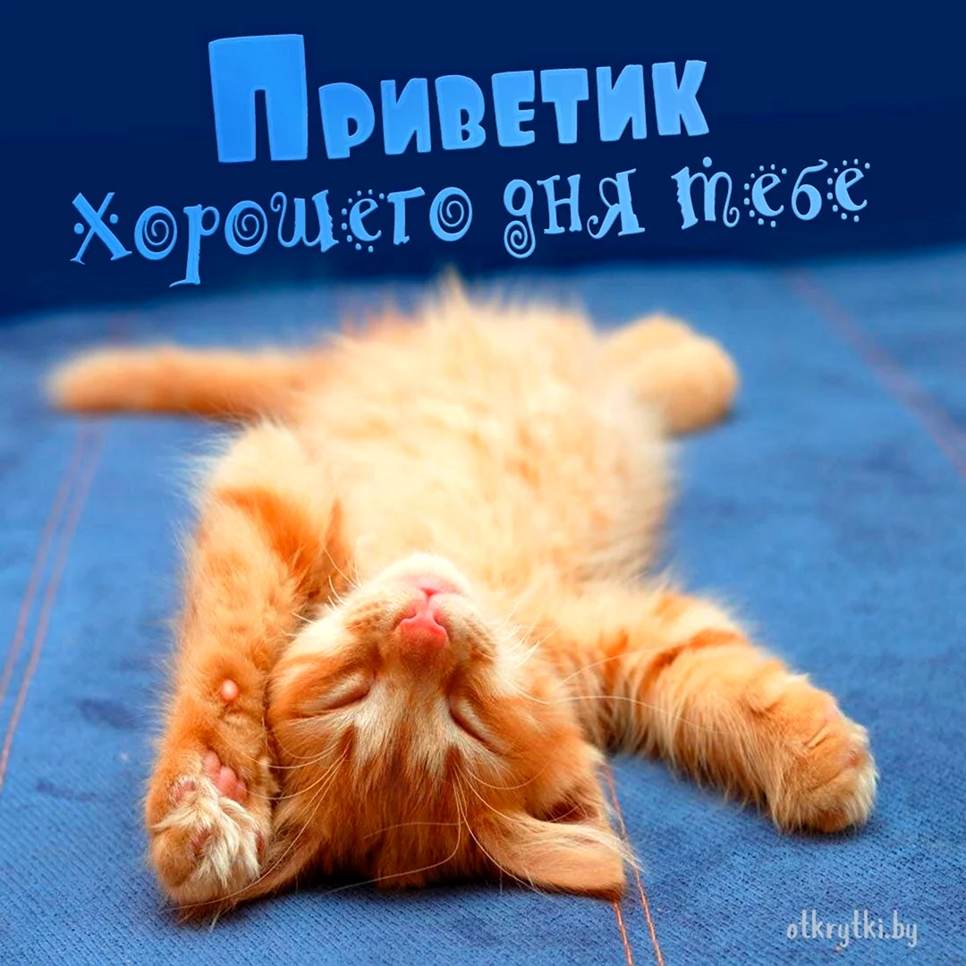Фото приветик