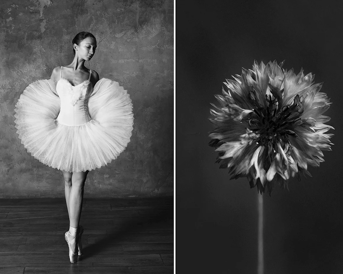 Фотограф Юлия Артемьева балерина и цветы