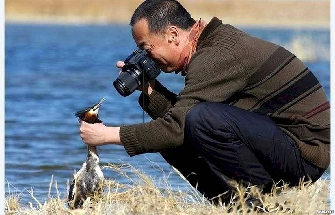 Фотограф юмор
