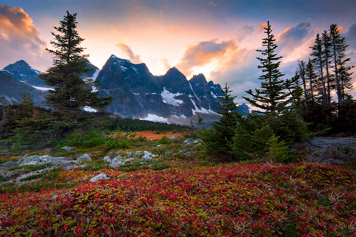 Фотограф Кевин МАКНИЛ Kevin MCNEAL