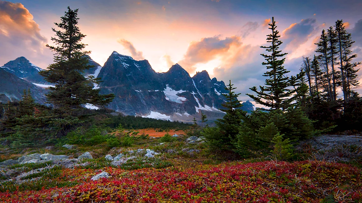 Фотограф Кевин МАКНИЛ Kevin MCNEAL