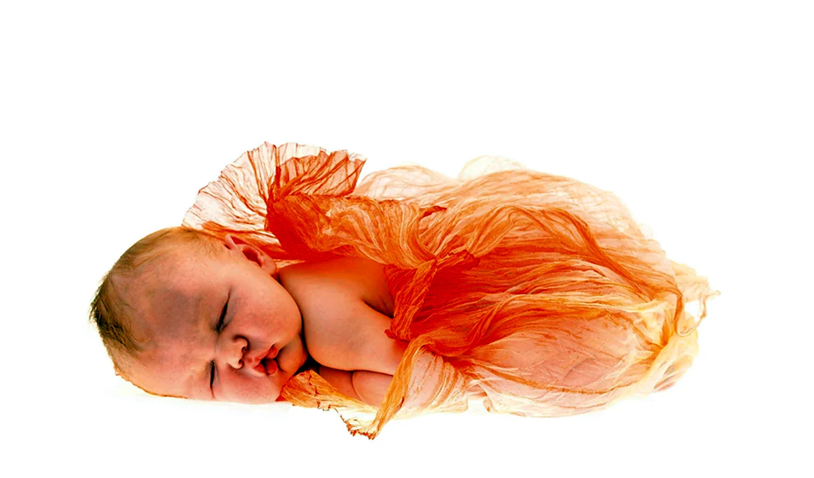 Фотограф новорожденных Anne Geddes