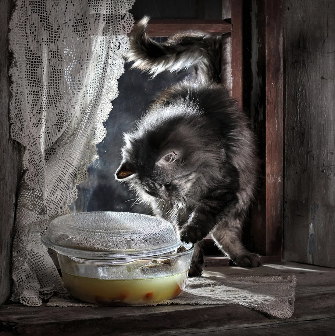 Фотограф Светлана Павловская