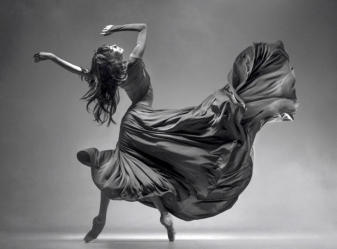 Фотограф Vadim Stein