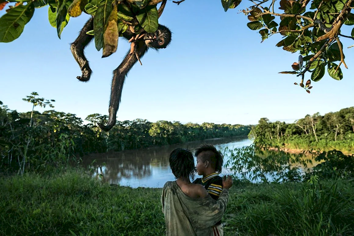 Фотографии от National Geographic