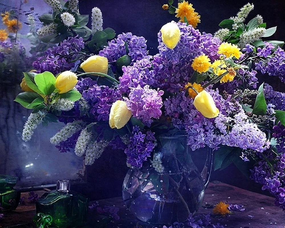 Фотонатюрморты Марины Володько