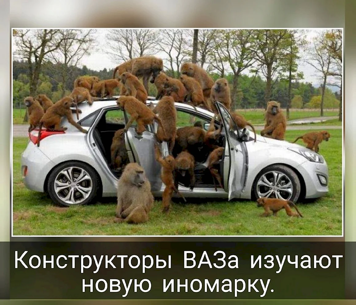 Фотоприколы и демотиваторы