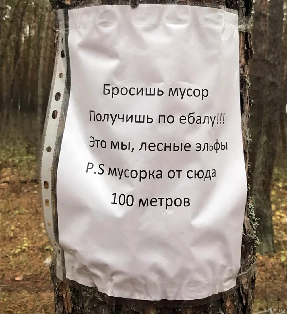 Фразы про мусор