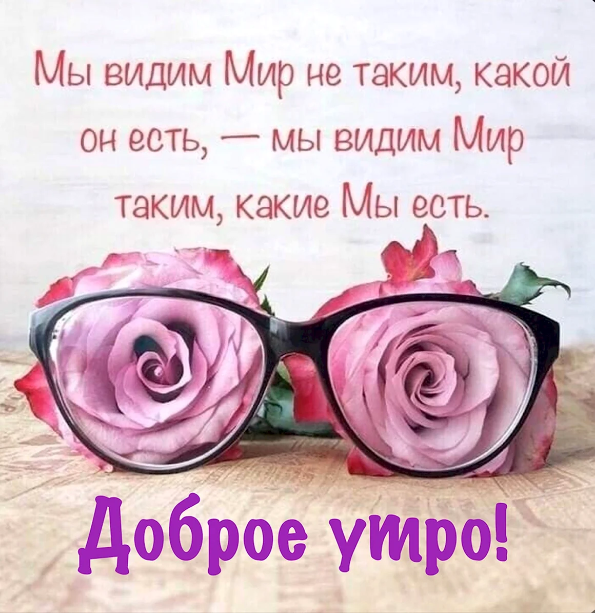 Фразы про цветы