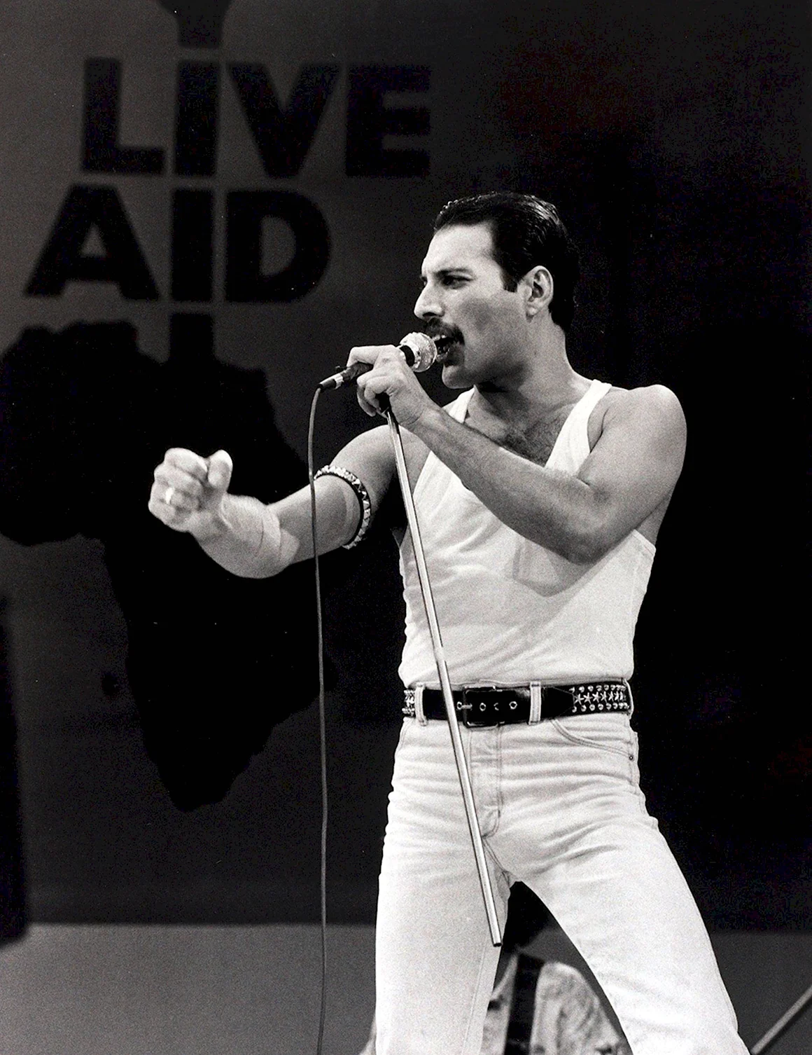 Фредди Меркьюри Live Aid