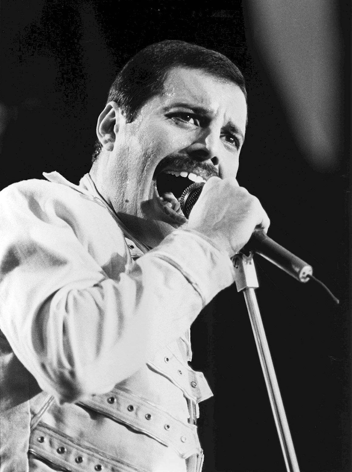 Freddie Mercury