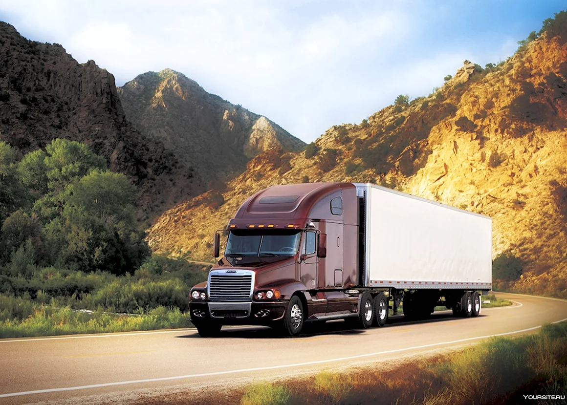 Freightliner Trucks 1995