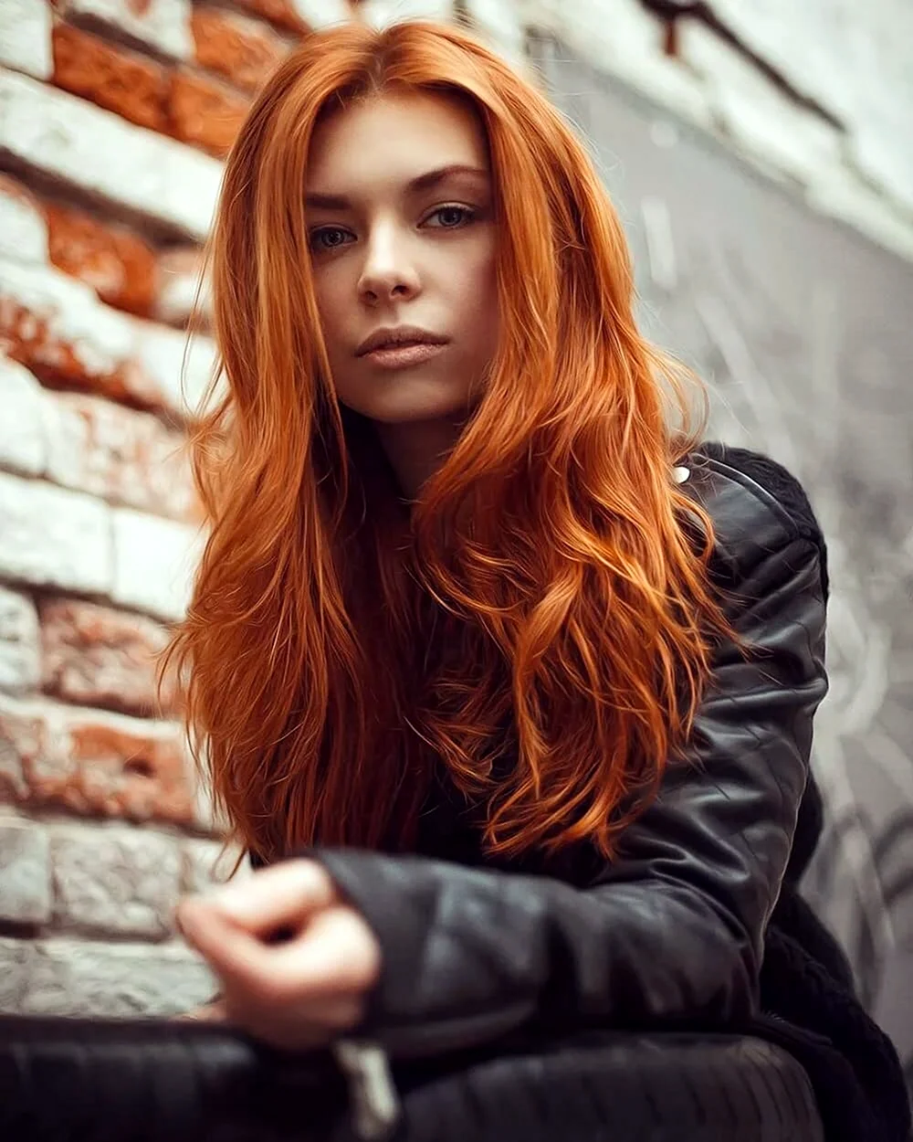 Фрэнсис Кумб рыжая